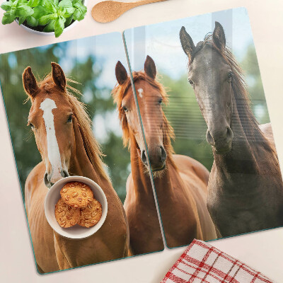 Tábua para corte Cavalos na natureza