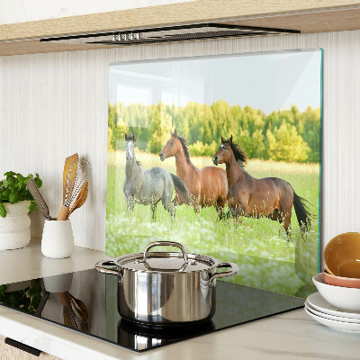 Tábua para cozinha Um encontro de cavalos no campo