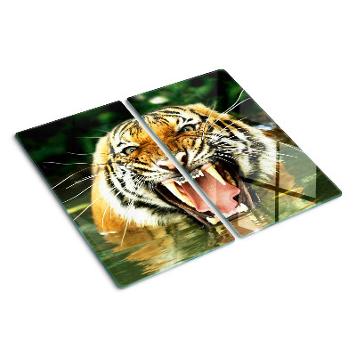 Tábua para corte Tigre no ataque