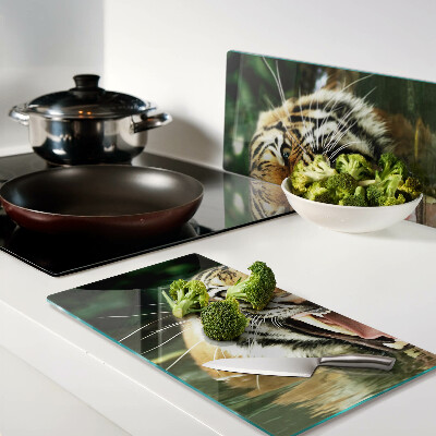 Tábua para corte Tigre no ataque