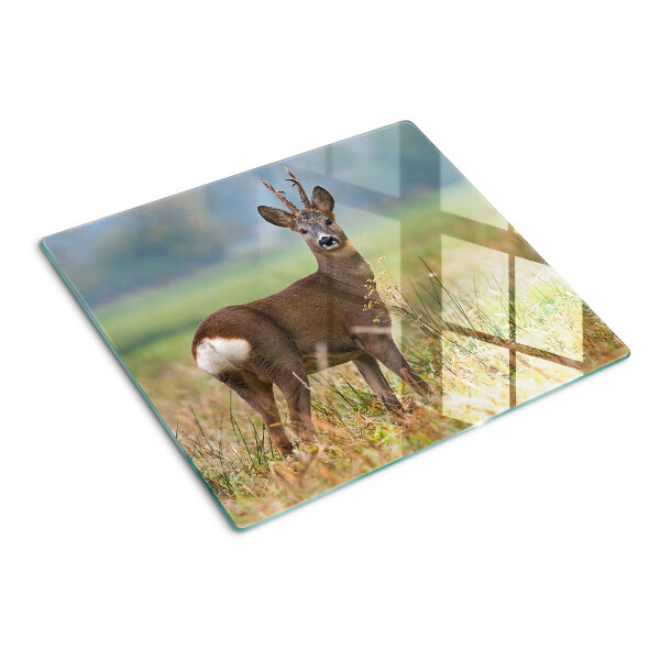 Tábua para cozinha Corça em seu habitat natural