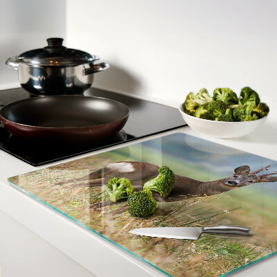 Tábua para cozinha Corça em seu habitat natural