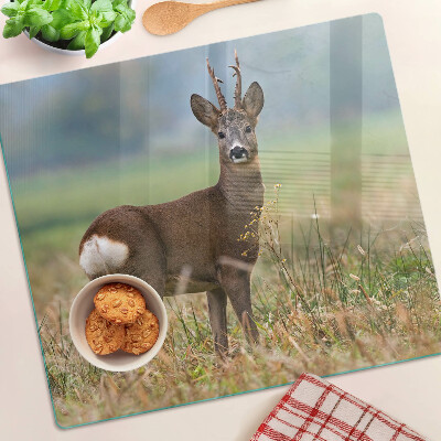 Tábua para cozinha Corça em seu habitat natural