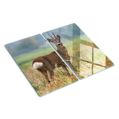 Tábua para cozinha Corça em seu habitat natural