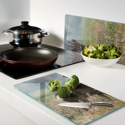 Tábua para cozinha Corça em seu habitat natural