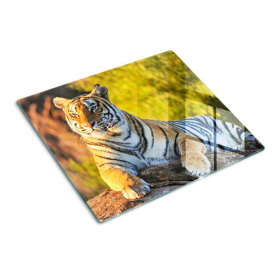 Tábua para corte Tigre contra o fundo da natureza