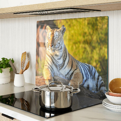 Tábua para corte Tigre contra o fundo da natureza