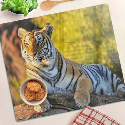 Tábua para corte Tigre contra o fundo da natureza