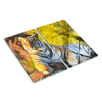 Tábua para corte Tigre contra o fundo da natureza
