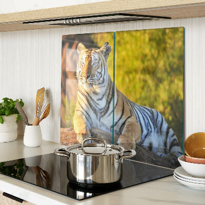 Tábua para corte Tigre contra o fundo da natureza