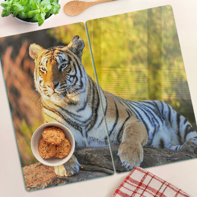Tábua para corte Tigre contra o fundo da natureza