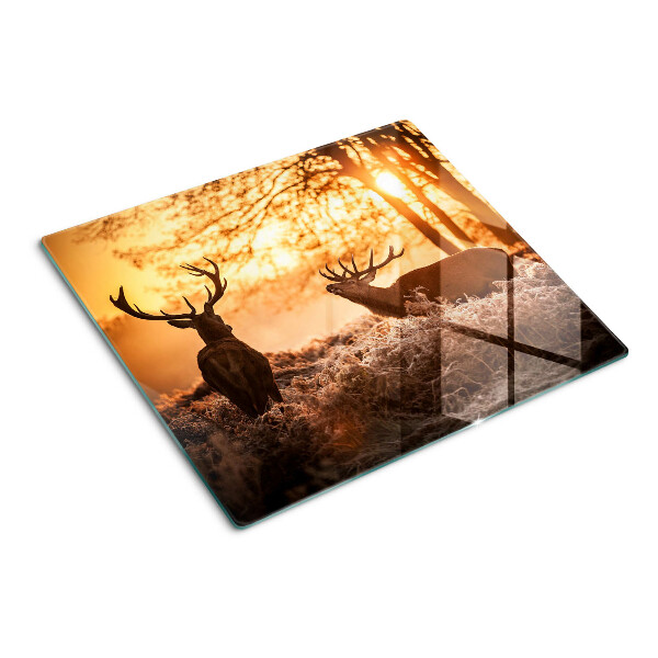 Tábua para cozinha Veados na floresta ao pôr do sol