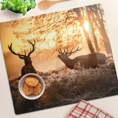 Tábua para cozinha Veados na floresta ao pôr do sol