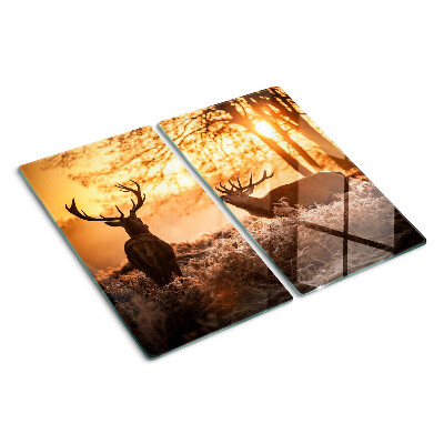 Tábua para cozinha Veados na floresta ao pôr do sol