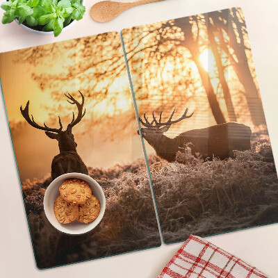 Tábua para cozinha Veados na floresta ao pôr do sol