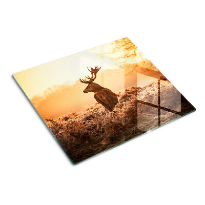 Tábua para corte Veado contra o fundo do pôr do sol
