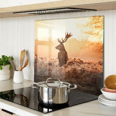 Tábua para corte Veado contra o fundo do pôr do sol