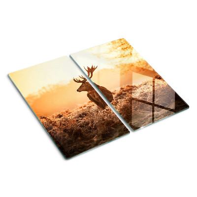 Tábua para corte Veado contra o fundo do pôr do sol