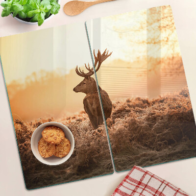 Tábua para corte Veado contra o fundo do pôr do sol