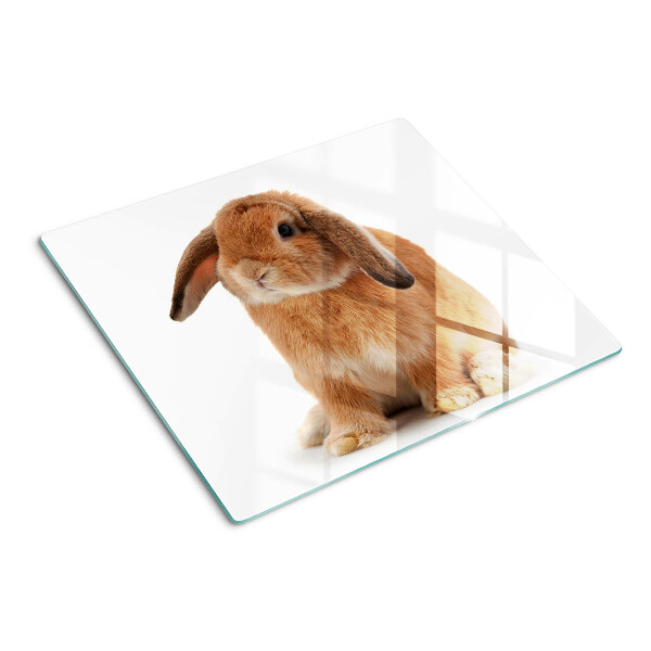 Tábua para cozinha Coelho em fundo branco