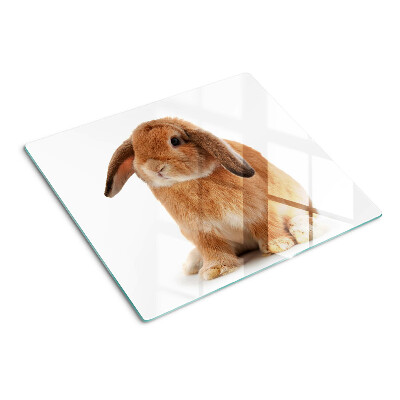 Tábua para cozinha Coelho em fundo branco