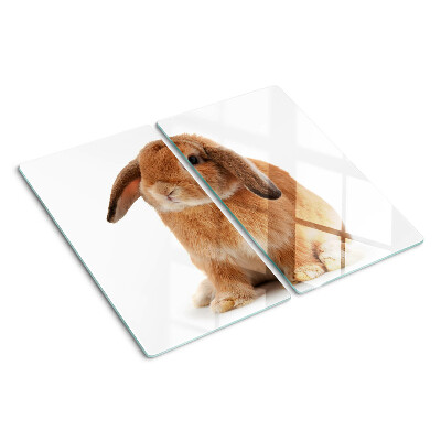 Tábua para cozinha Coelho em fundo branco