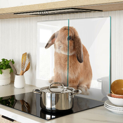 Tábua para cozinha Coelho em fundo branco