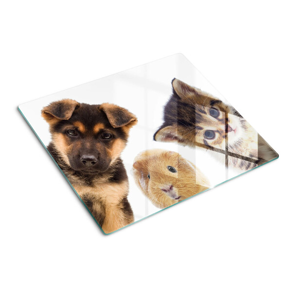 Tábua para cozinha Cães, gatos, coelhos