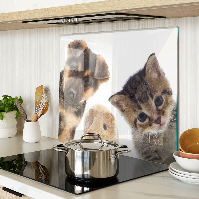Tábua para cozinha Cães, gatos, coelhos