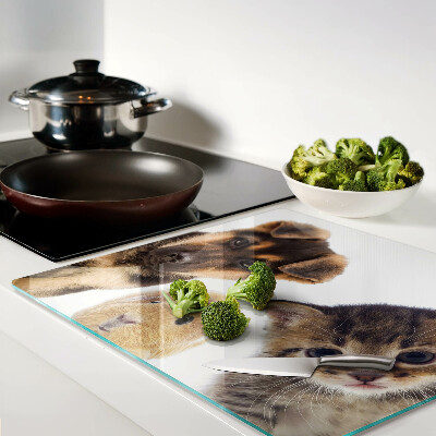 Tábua para cozinha Cães, gatos, coelhos