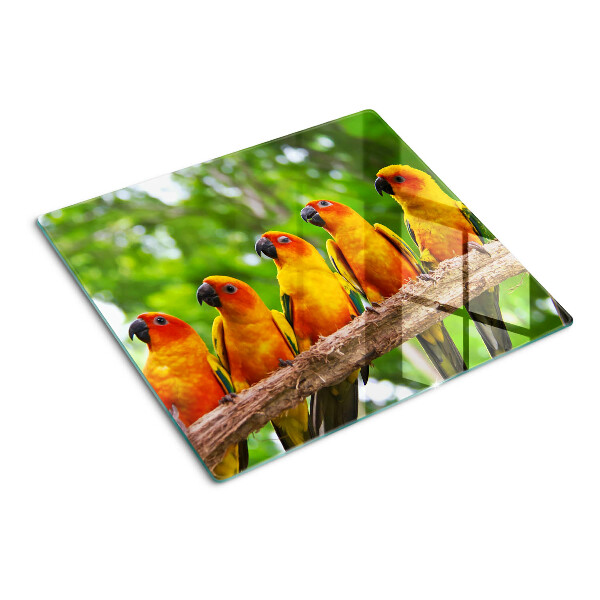 Tábua para cozinha Papagaios em um galho
