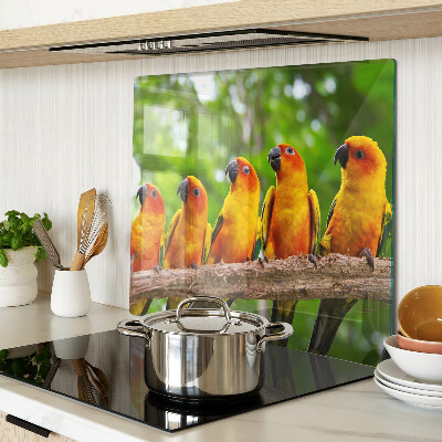 Tábua para cozinha Papagaios em um galho