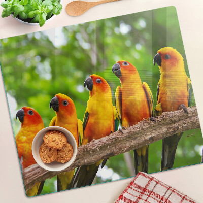 Tábua para cozinha Papagaios em um galho
