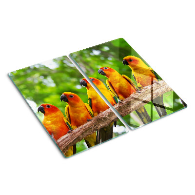 Tábua para cozinha Papagaios em um galho