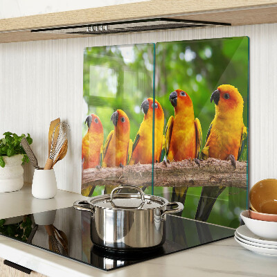 Tábua para cozinha Papagaios em um galho