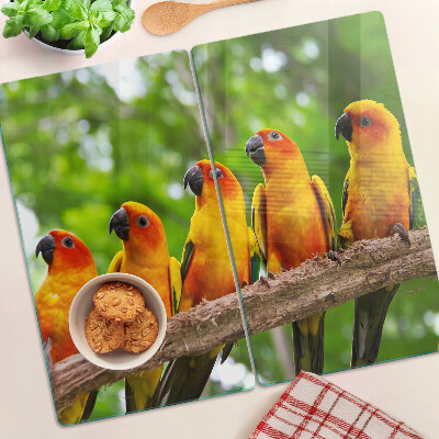 Tábua para cozinha Papagaios em um galho