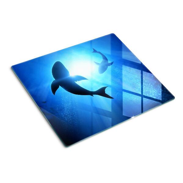 Tábua para corte Tubarões em luz subaquática