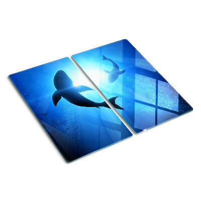 Tábua para corte Tubarões em luz subaquática