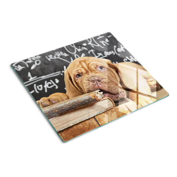 Tábua para cozinha Cachorro com livros e um quadro negro