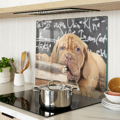 Tábua para cozinha Cachorro com livros e um quadro negro