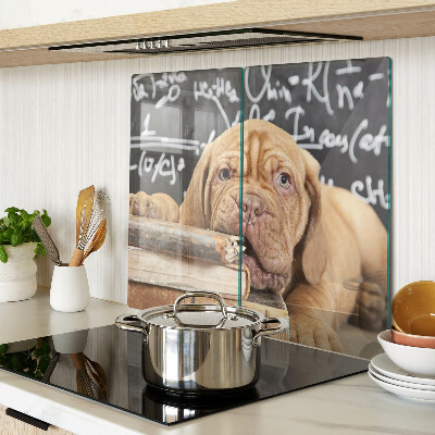 Tábua para cozinha Cachorro com livros e um quadro negro
