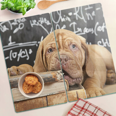 Tábua para cozinha Cachorro com livros e um quadro negro