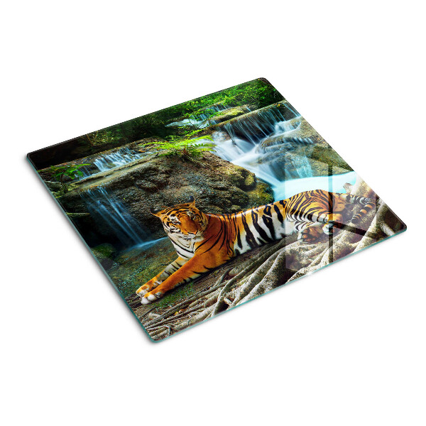 Tábua para corte Tigre em seu habitat natural