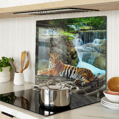 Tábua para corte Tigre em seu habitat natural