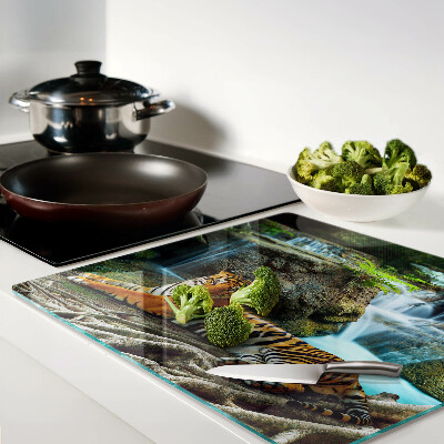 Tábua para corte Tigre em seu habitat natural