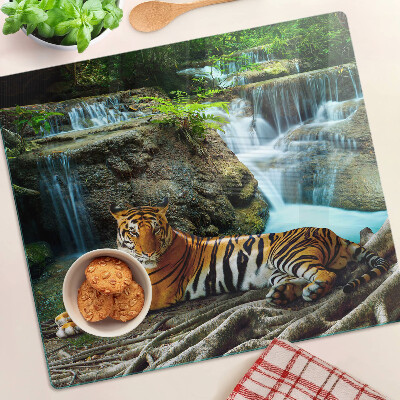 Tábua para corte Tigre em seu habitat natural
