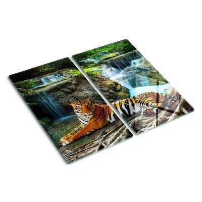 Tábua para corte Tigre em seu habitat natural