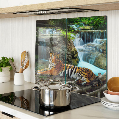 Tábua para corte Tigre em seu habitat natural