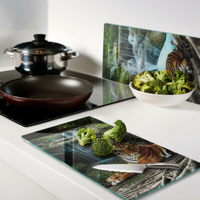 Tábua para corte Tigre em seu habitat natural