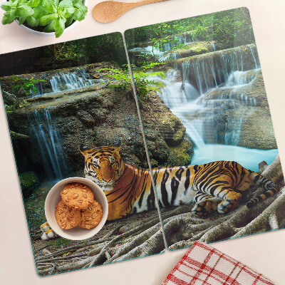 Tábua para corte Tigre em seu habitat natural